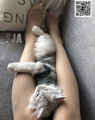 进口心脏支架和国产_HD电视剧在线观看